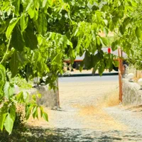 اجاره روزانه/هفتگی/ماهانه ویلا