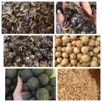 فروش لیمو خشک ومشتقات آن