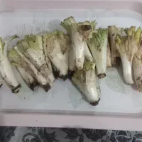گنگر پاک شده
