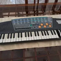 ارگ کاسیو