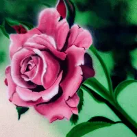 نقاشی دیواری دیوارنویسی زیباسازی