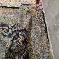 قالی 12.منری|فرش|بم, |دیوار