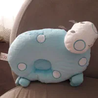 بالش فرم دهی