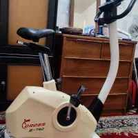 دوچرخه ثابت کراس