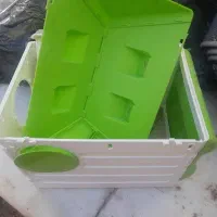 لانه عروس هلندی