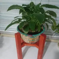 استند گلدان چوبی