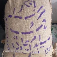 برنج بافکر و هاشمی