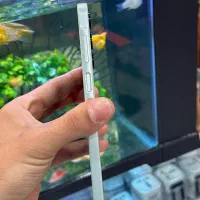 a16|موبایل|شیراز, زند|دیوار