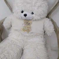 خرس درحد نو