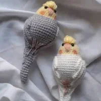 عروس هلندی پیدا شده
