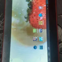 تب لت