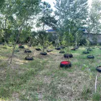 زمین مسکونی جاده انزلی۶۵۰ متری