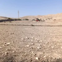 زمین زراعی سند دار