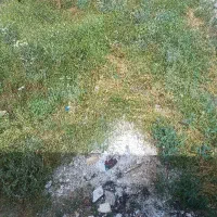 فروش زمین محله خواجه احمدی