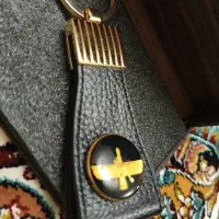 جاسوئیچی فروهر