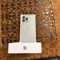 اپل ایفون ۱۶ پرو مگس