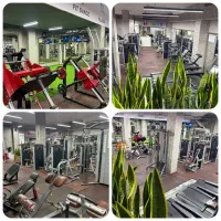 تا عید تضمینی لاغر شو