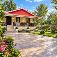 فروش تخم مرغ تازه محلی واقعی کاملا سالم و مقوی