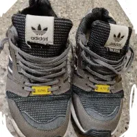 ZX8000 alpha