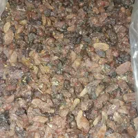 کشمش بوانات ۱۷۰