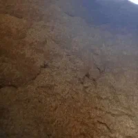 کاه کوبیده گندم