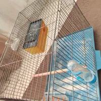 قفس پرنده|لوازم جانبی حیوانات|رفسنجان, |دیوار