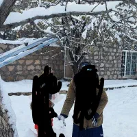 فروش زمین کشاورزی