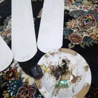 پنکه|پنکه و تصفیه‌کنندهٔ هوا|کاشمر, |دیوار