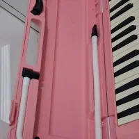 ملودیکا یاماها|سازهای بادی|تهران, ارامنه|دیوار