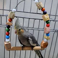 عروس هلندی دستی بازیگوش پرنده تزئینی جوجه