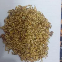 قیمت ۱۷۰۰۰۰۰۰