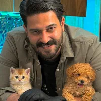 گربه بریتیش/اسکاتیش(اصیل و با وقار)