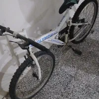 دوچرخه ویوا|دوچرخه، اسکیت، اسکوتر|رشت, رشتیان|دیوار