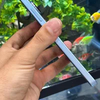 شیامی not13 256|موبایل|شیراز, زند|دیوار