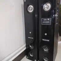 اسپیکر دوقلو مچر