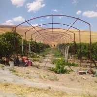 جوشکاری وسبک سازی سایبان و قیمه انگوروخرده کاری