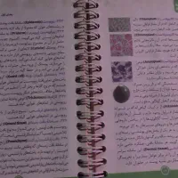 کمک درسی