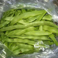دار لوبیا کیلویی ۳۰۰