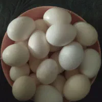 تخم مرغ گلین