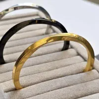 بدلیجات مختلف