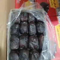 ۸تن خرما میانگین۷/۵۰۰