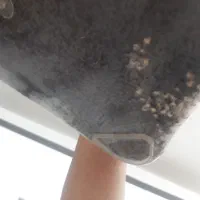 حلزون ۱۳ سانتی تخم گذار|خزنده|کرج, کمالشهر|دیوار