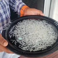 واردات بسته‌بندی وپخش برنج وشکرسفید