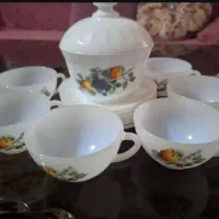 ظروف گل میوه ای کاملا نو می باشند|ظروف سرو و پذیرایی|رفسنجان, |دیوار