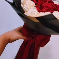 گل رز|گل و گیاه طبیعی|خرمآباد, |دیوار