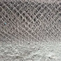 فنس توری دور باغ و کپسول پرسی
