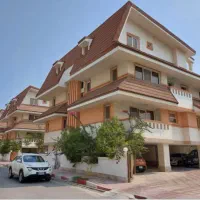 ستاره-کیش-دو-خواب-فرنیش