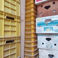 سبدپلاستیکی تعداد ۴۱عدد نصف کارکرده ونصف نو|ابزارآلات|مشهد, پنجتن|دیوار