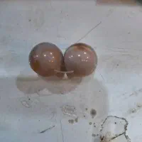 مهره قدیمی|کلکسیون اشیاء عتیقه|امیدیه, |دیوار