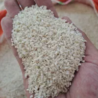 برنج نیمدانه و لاشه ممان میانه|خوردنی و آشامیدنی|زنجان, |دیوار